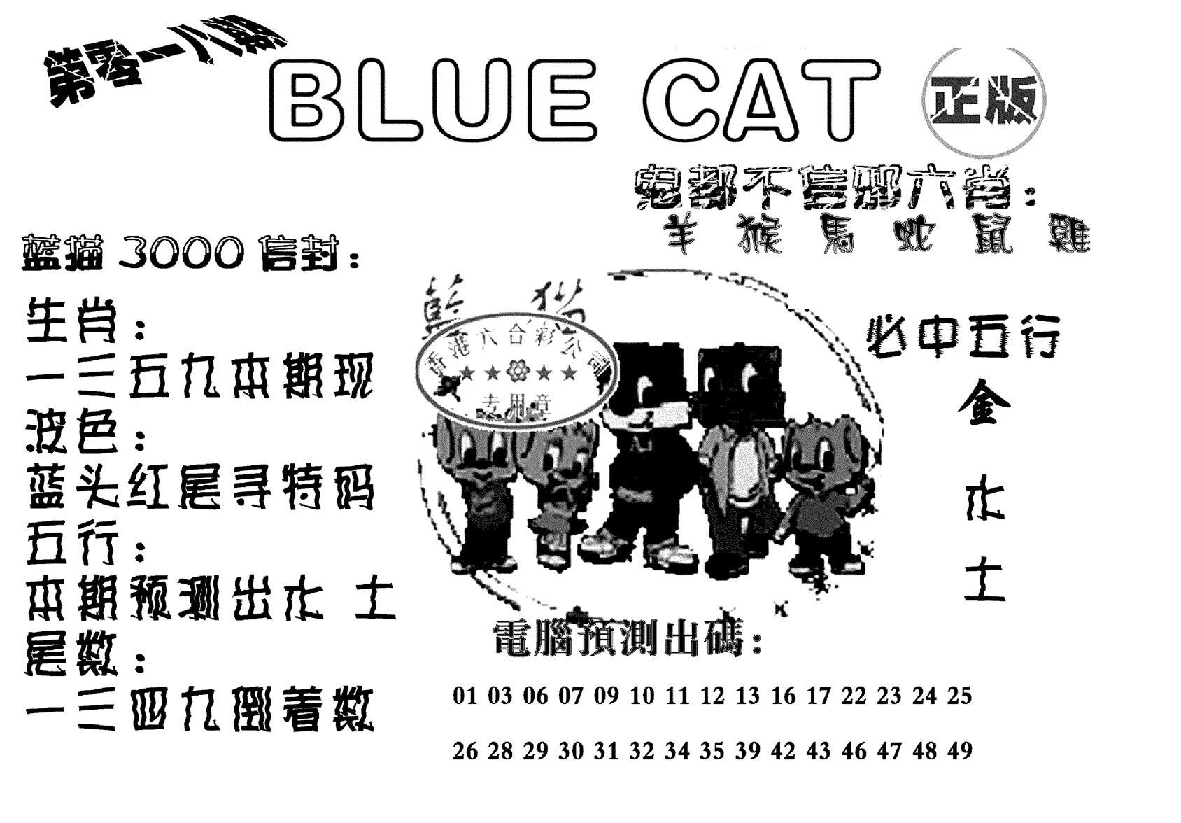 蓝猫Blue Cat-18