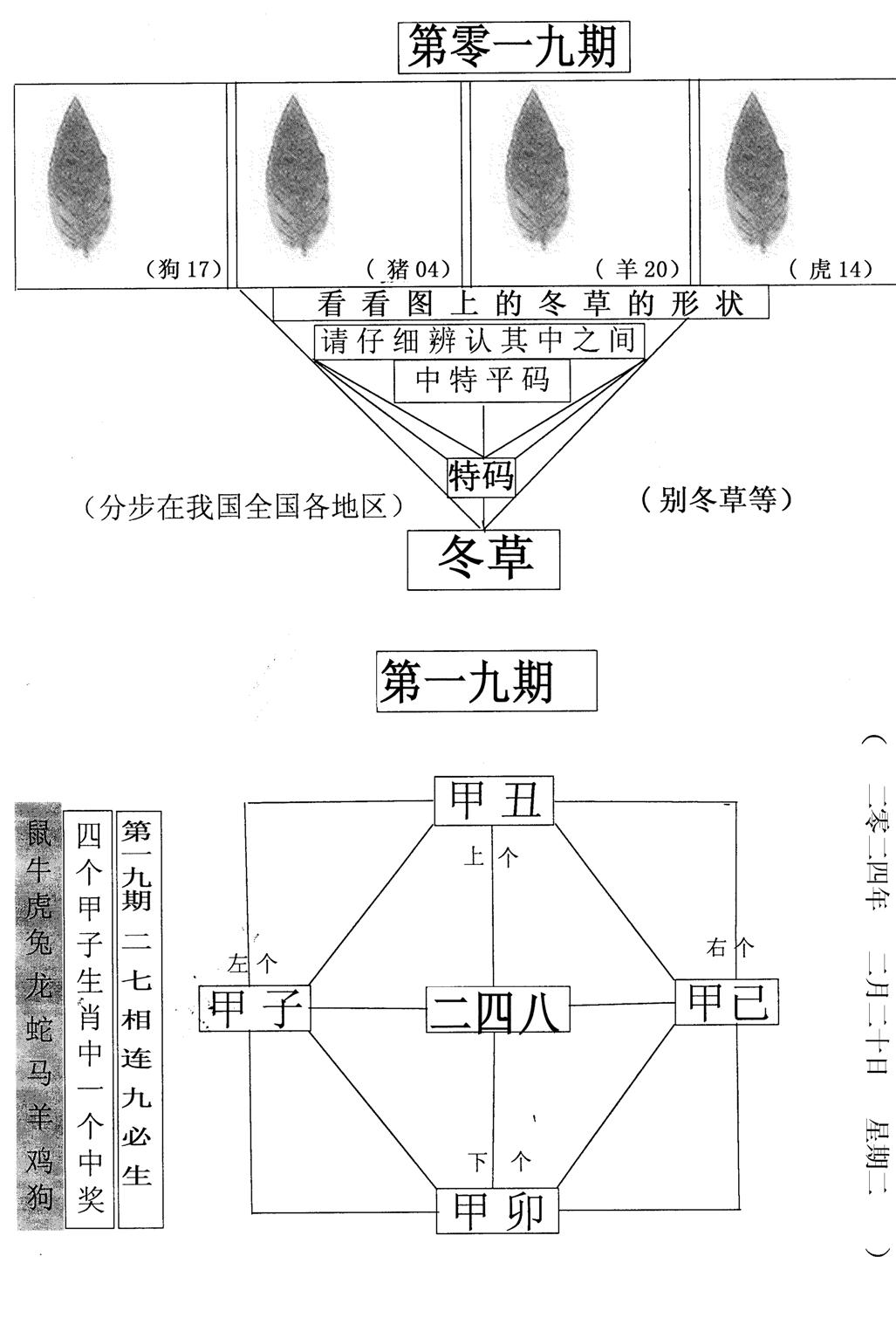 每期一花草-19