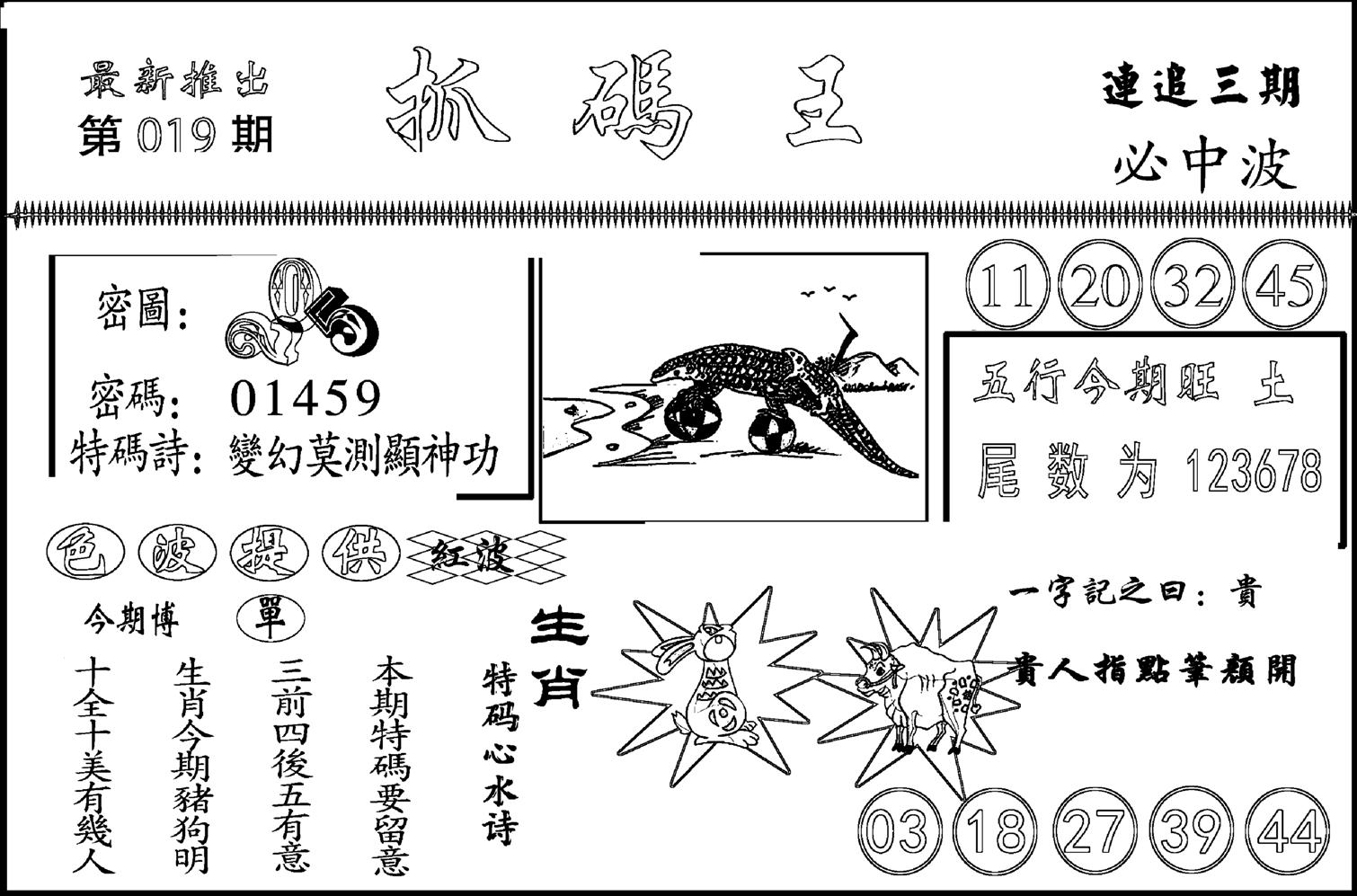 抓码王-19