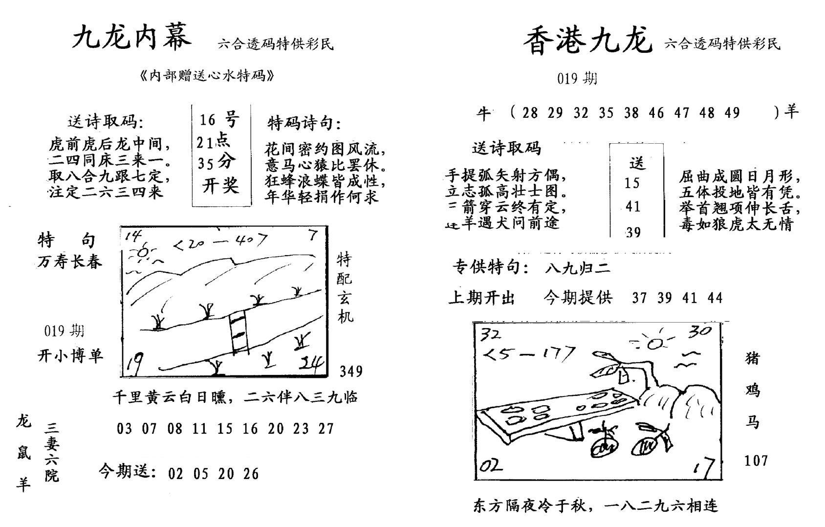 九龙内幕--开奖报-19