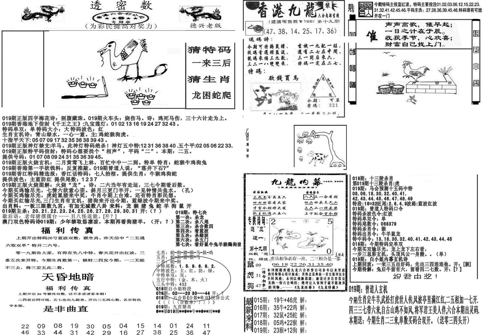 新透密数A(新)-19