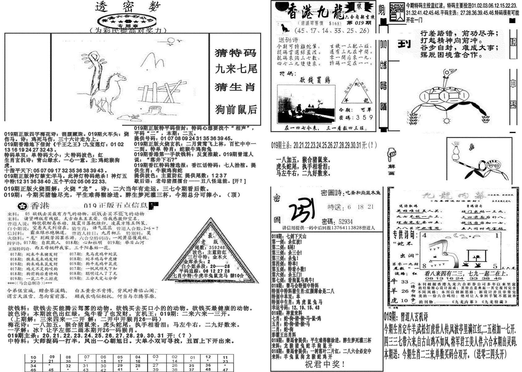 新透密数B(新)-19