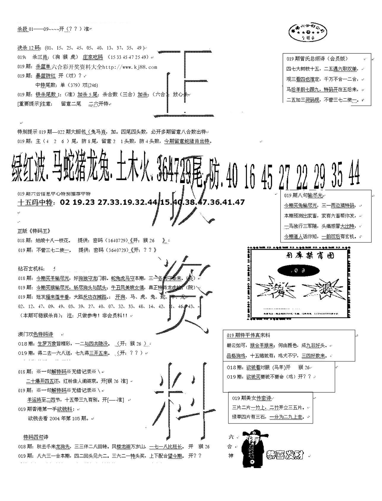 正版资料-19