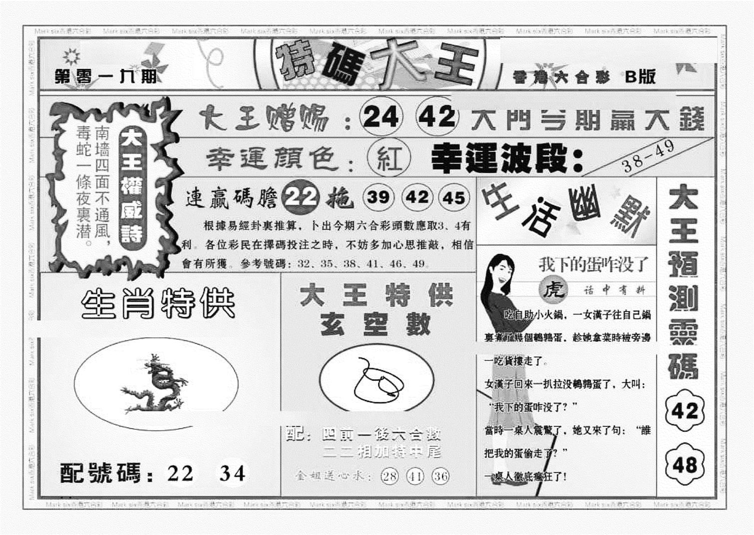 特码大王B（新图）-19