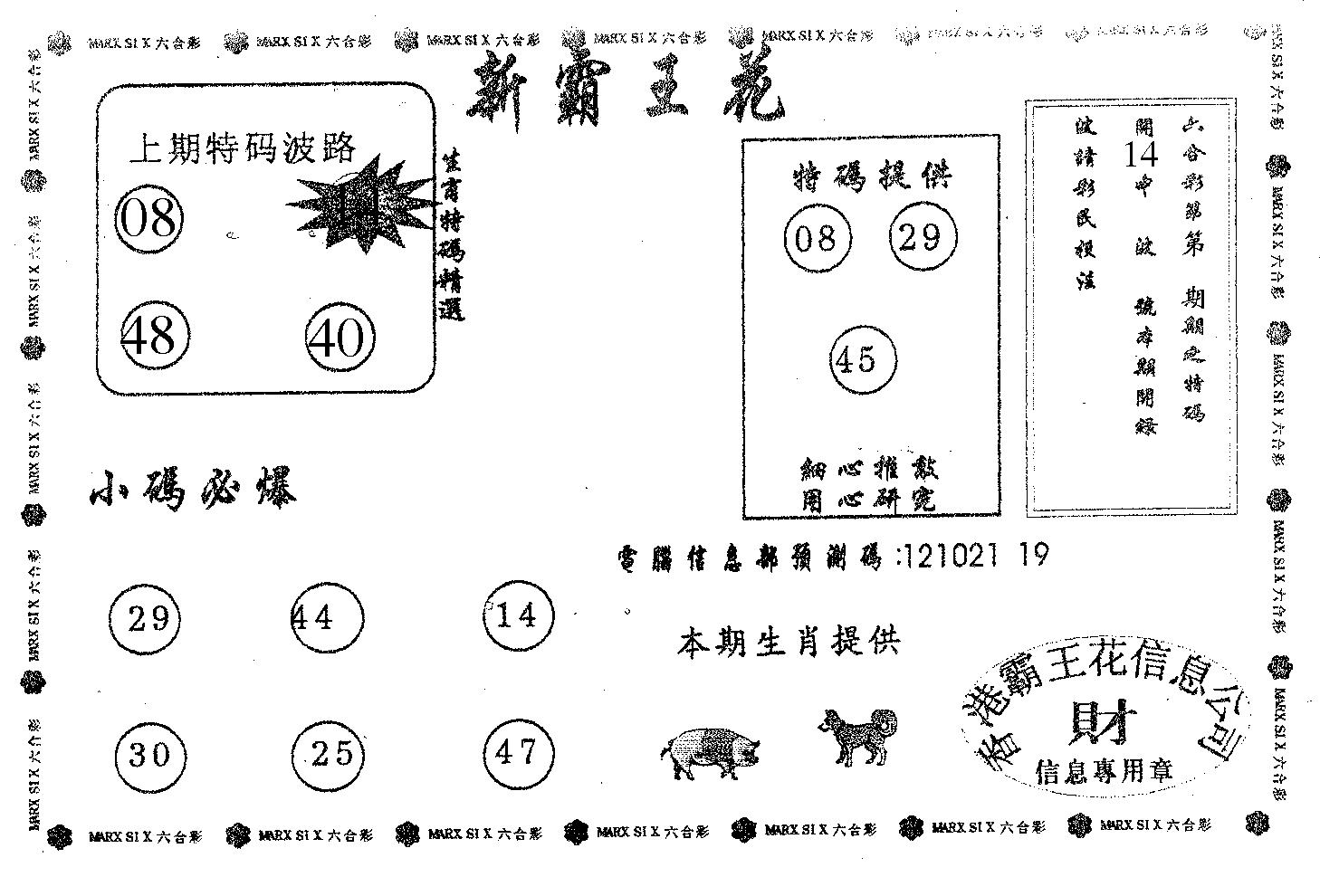 新霸王花-2