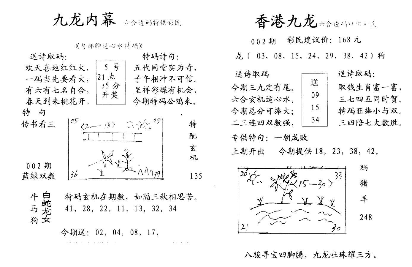 九龙内幕--开奖报-2