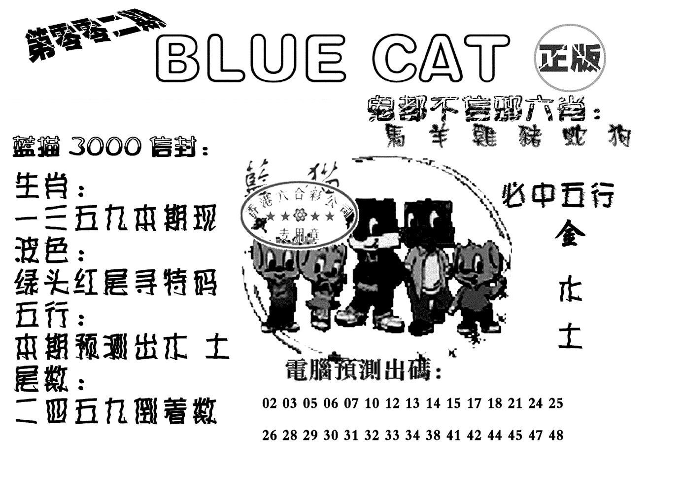 蓝猫Blue Cat-2