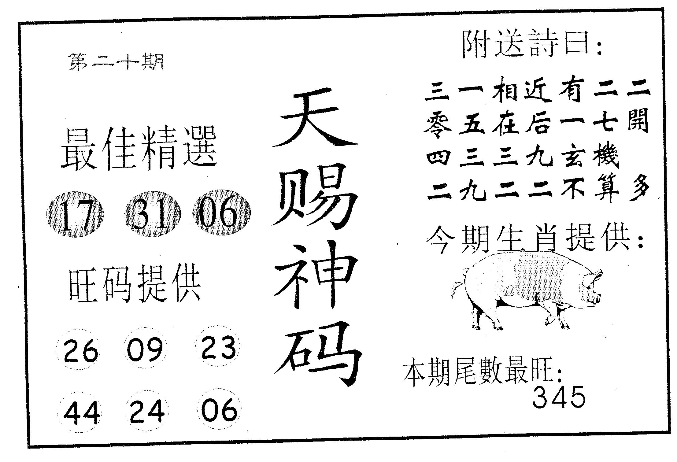 天赐神码-20