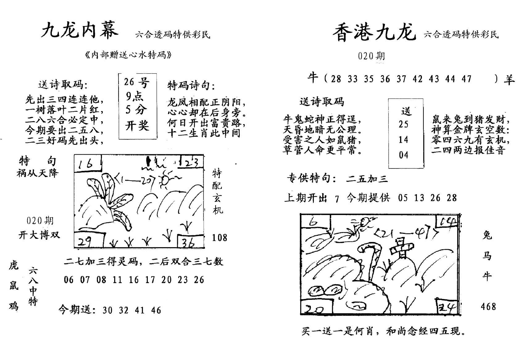 九龙内幕--开奖报-20