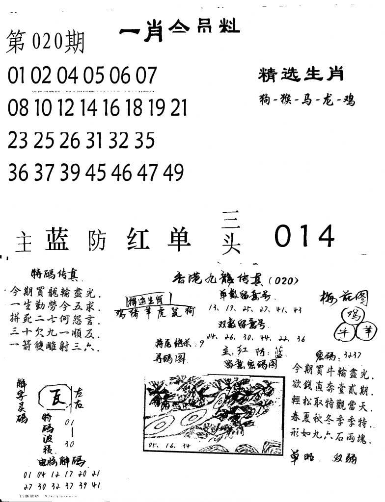 一肖会员料-20