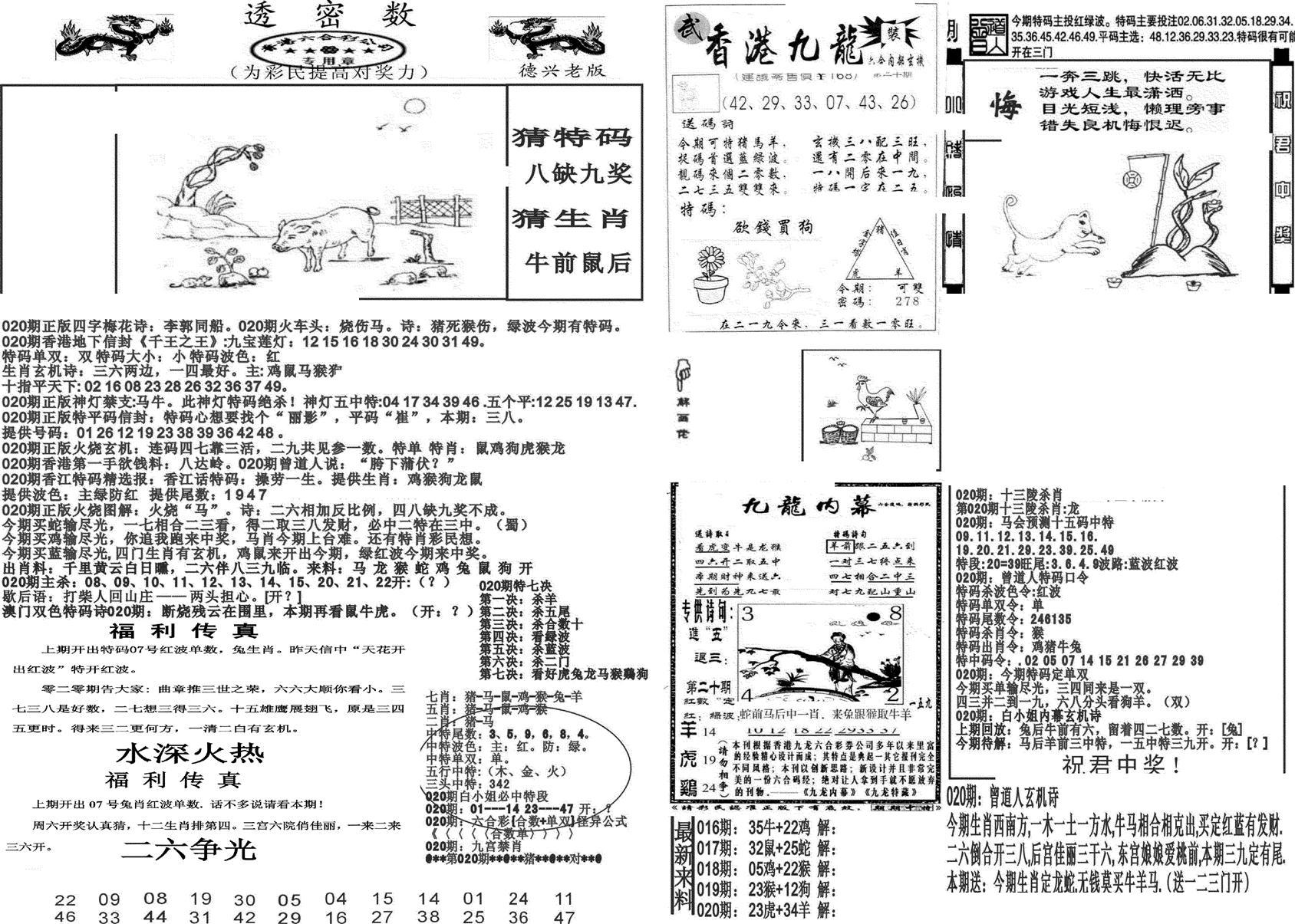 新透密数A(新)-20