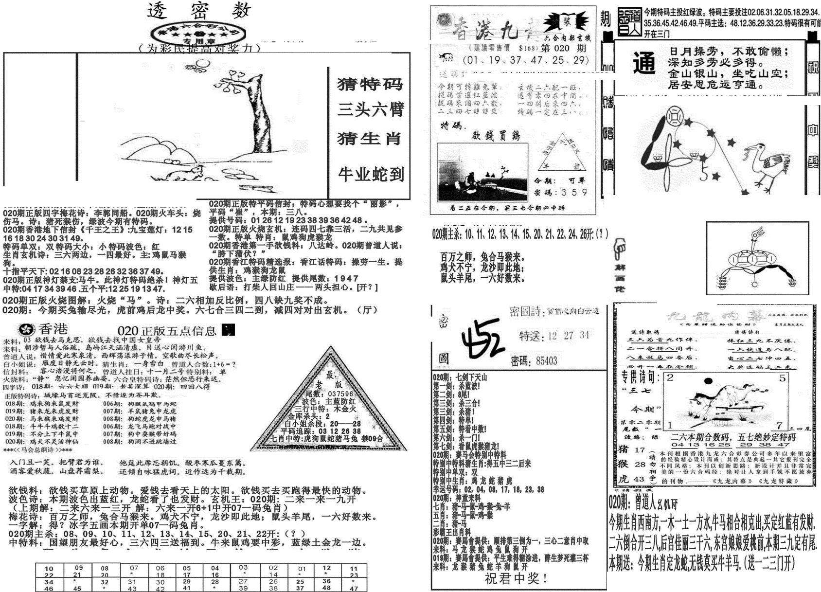 新透密数B(新)-20