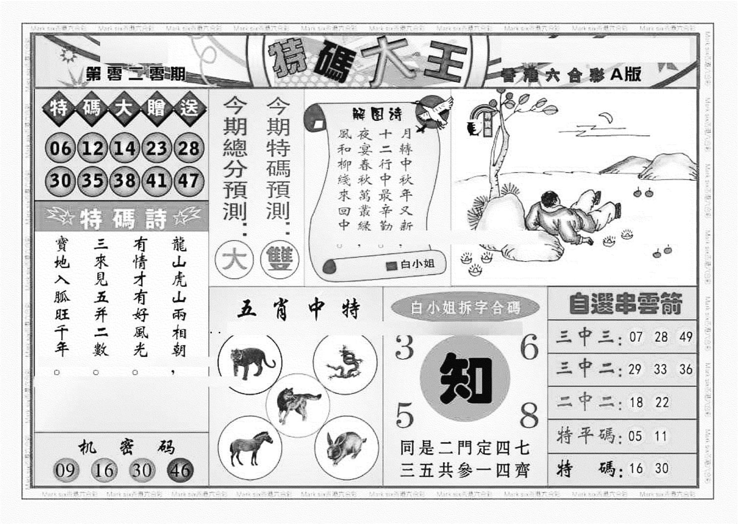 特码大王A（新图）-20