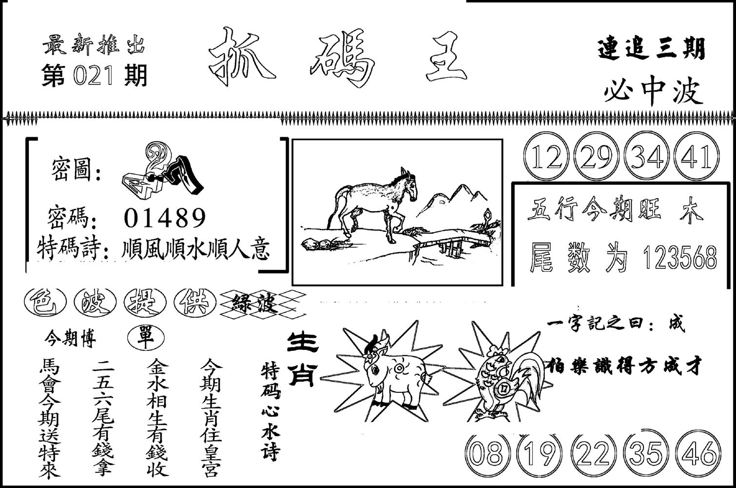 抓码王-21