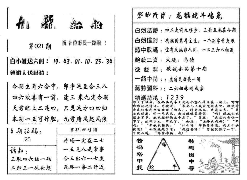 九龙新报(生肖版)-21