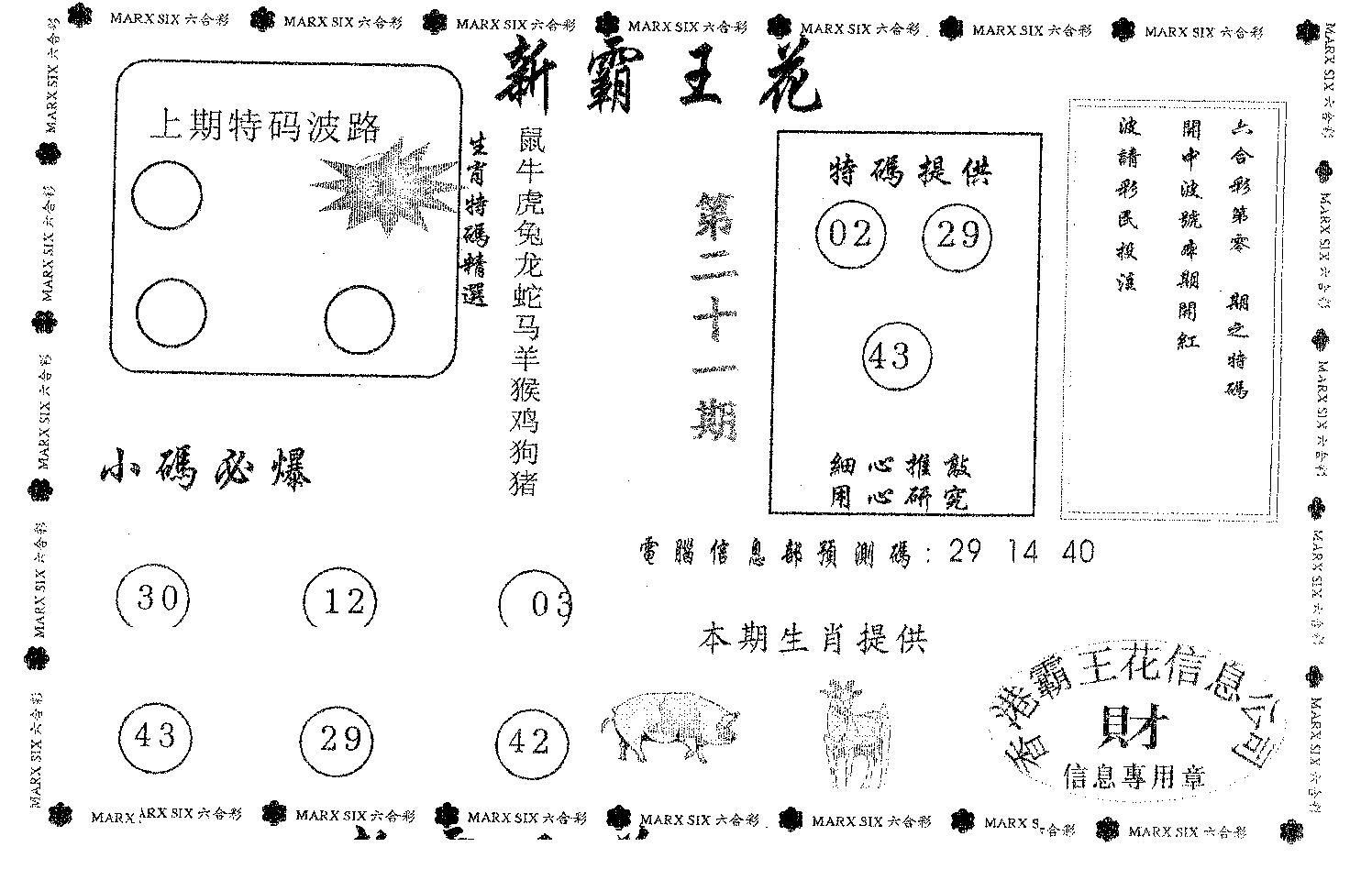 新霸王花-21