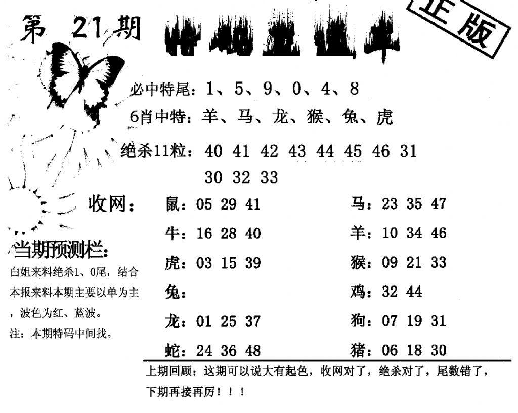 特码直通车-21