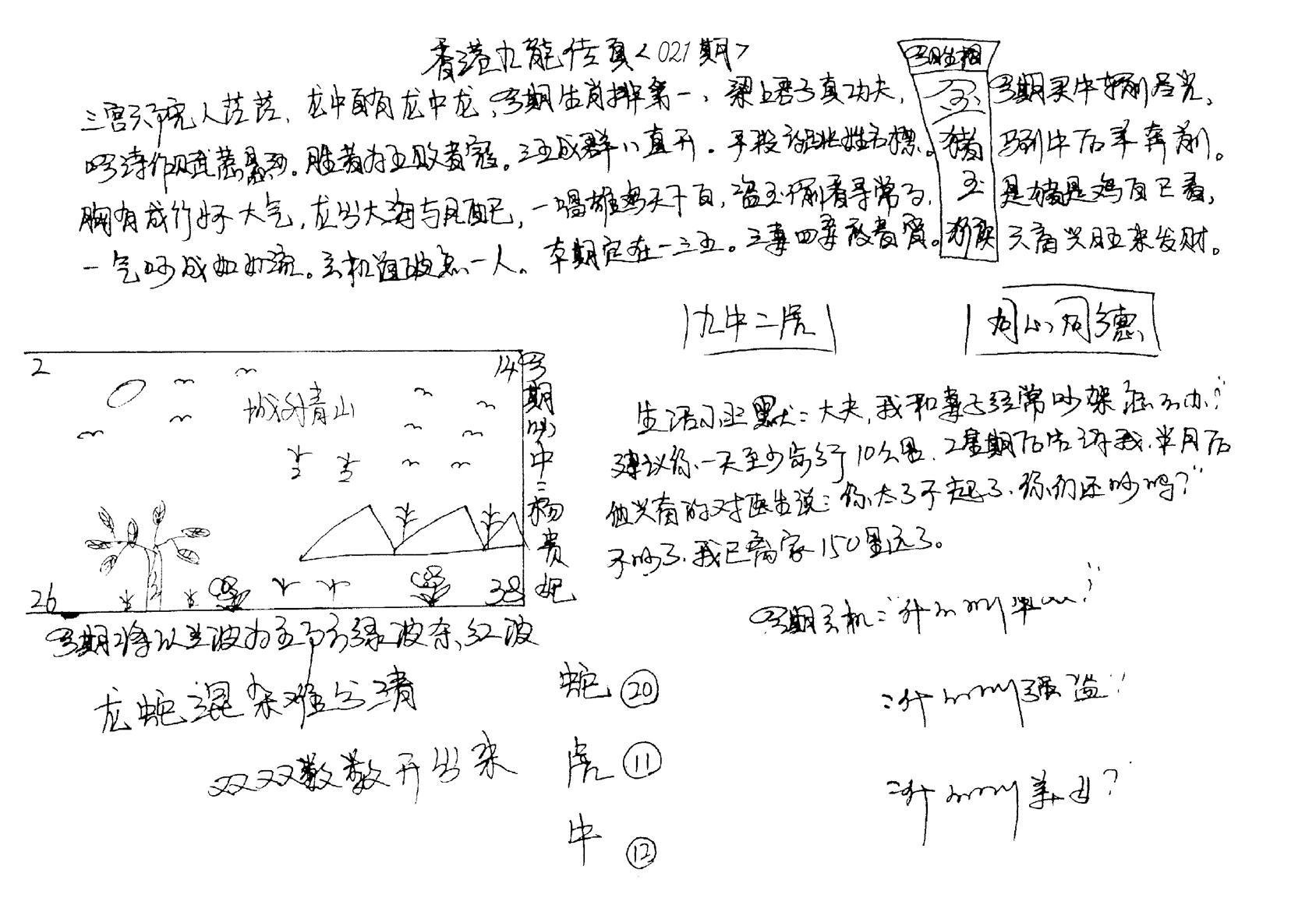 正版手写九龙-21