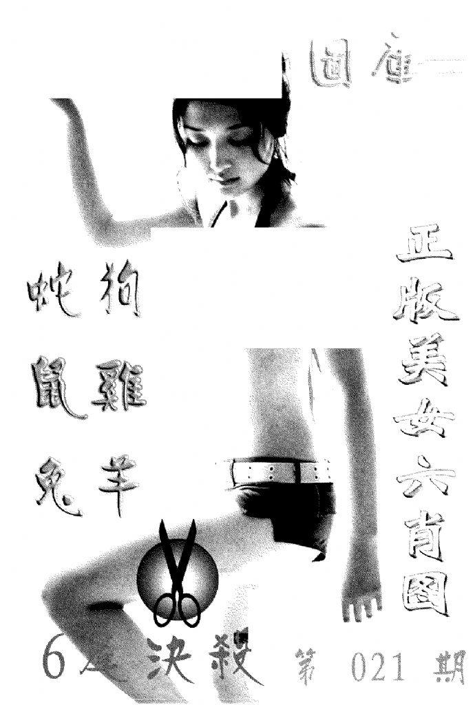 美女六肖报-21