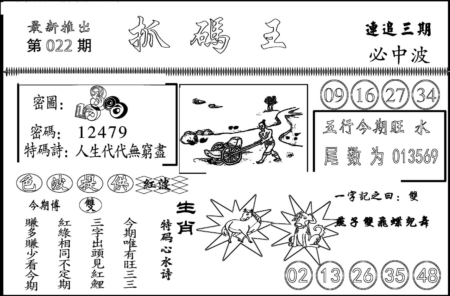 抓码王-22