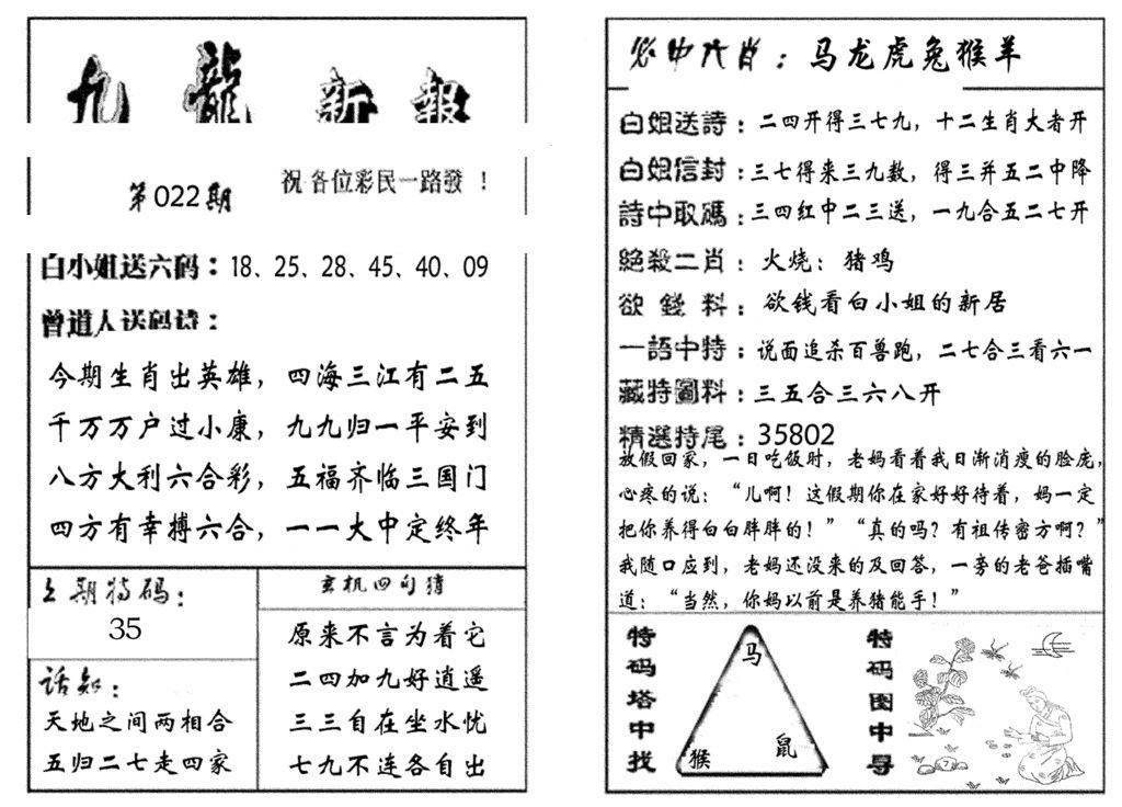 九龙新报(生肖版)-22