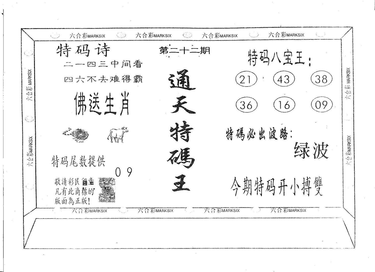 通天特码王-22