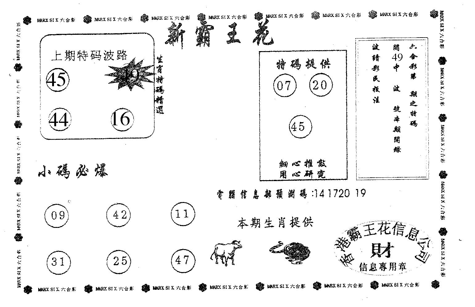 新霸王花-22