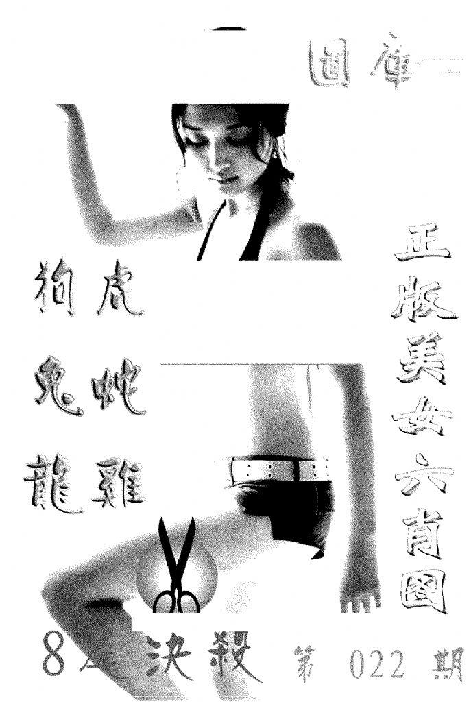 美女六肖报-22