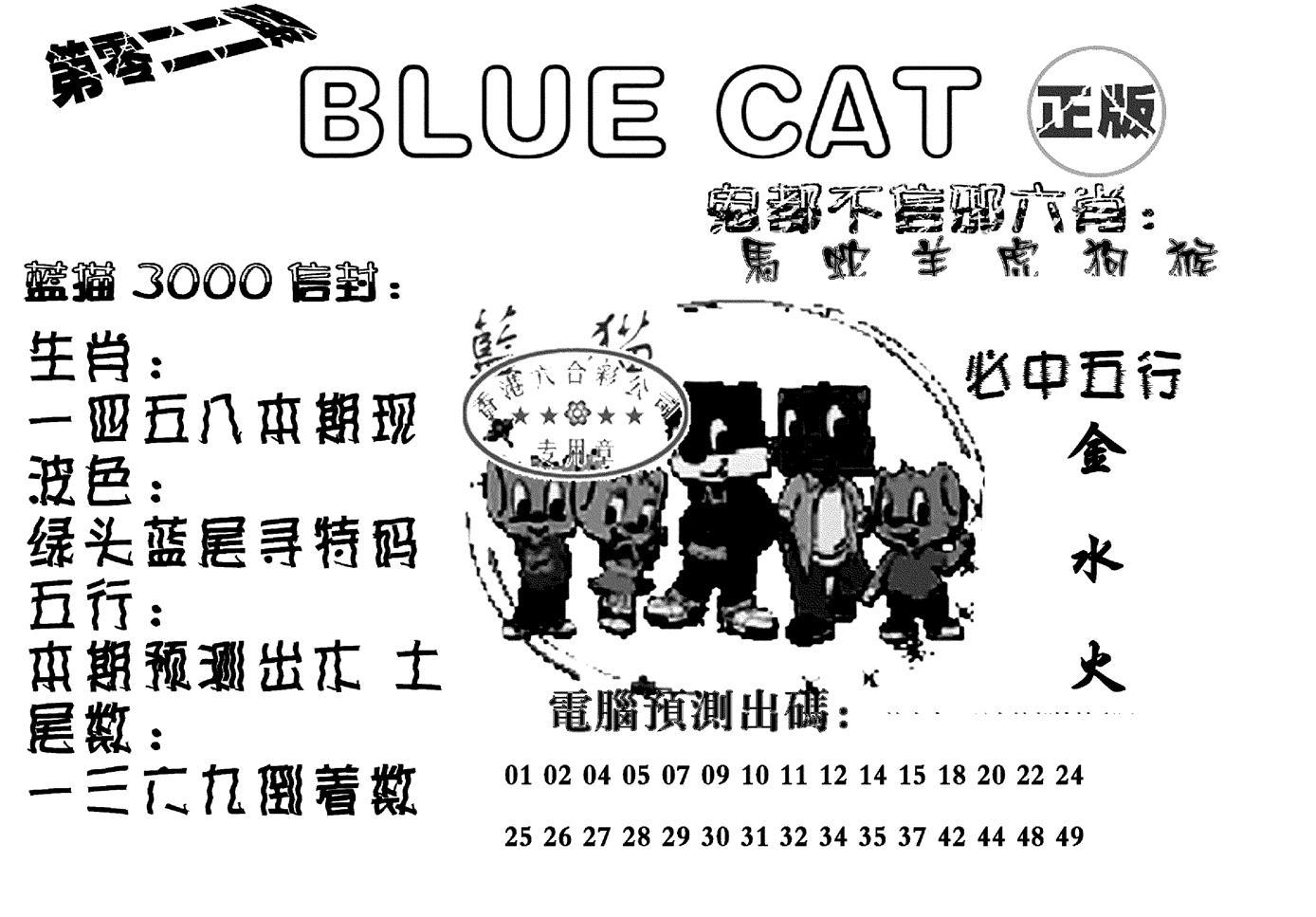 蓝猫Blue Cat-22