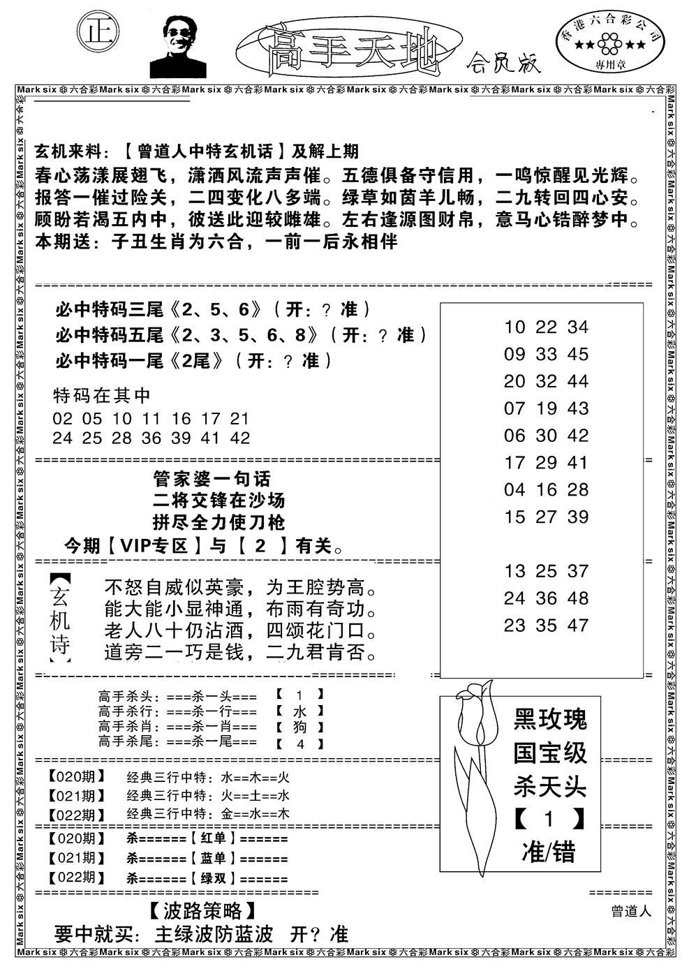 高手天地-22