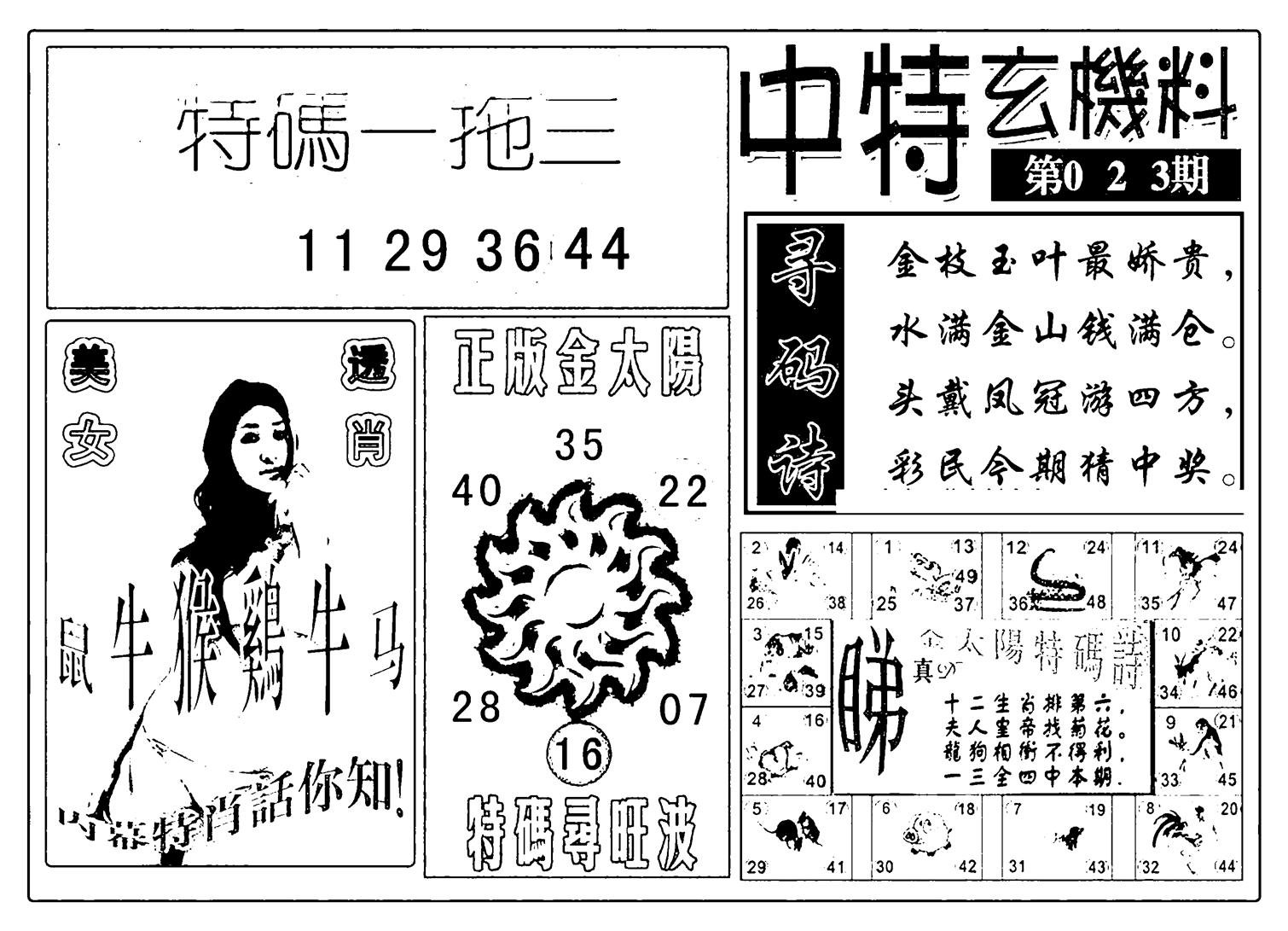 中特玄机料(新图)-23