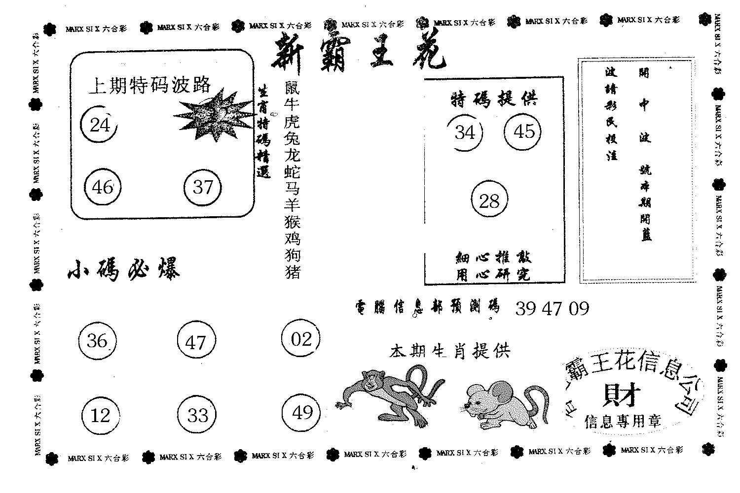 新霸王花-23