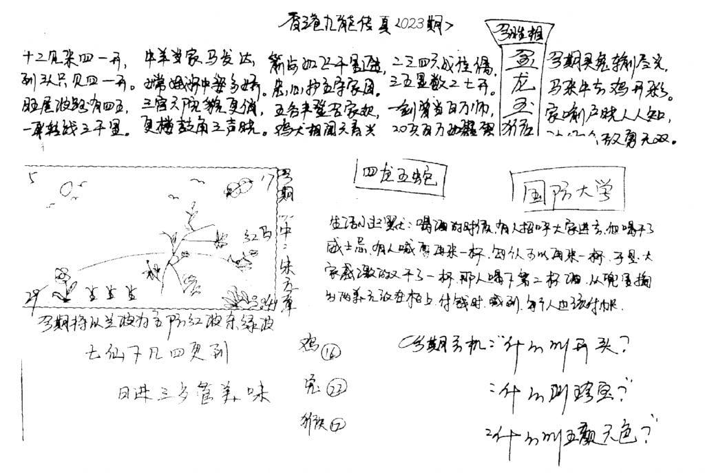 手写九龙内幕A-23