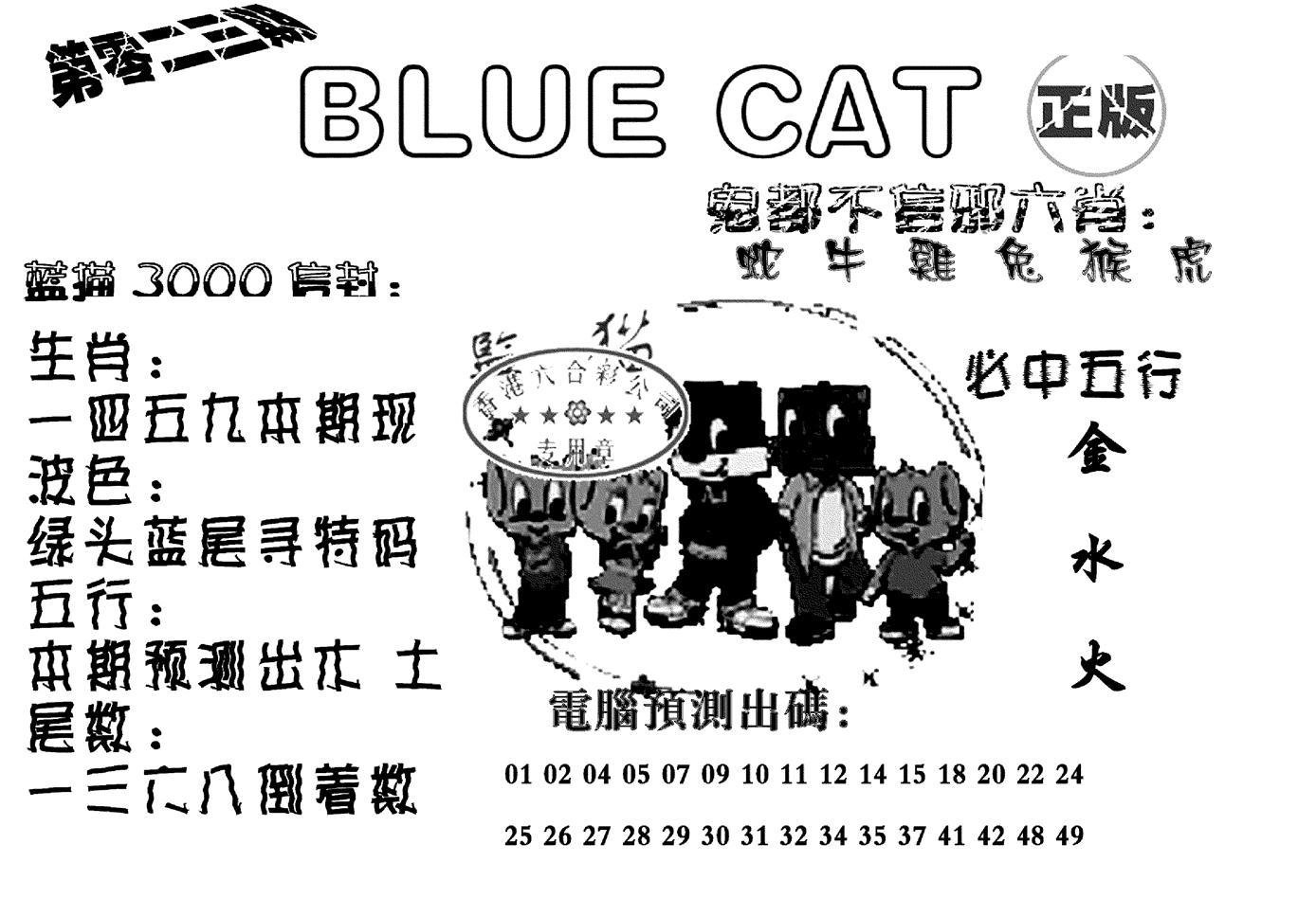 蓝猫Blue Cat-23