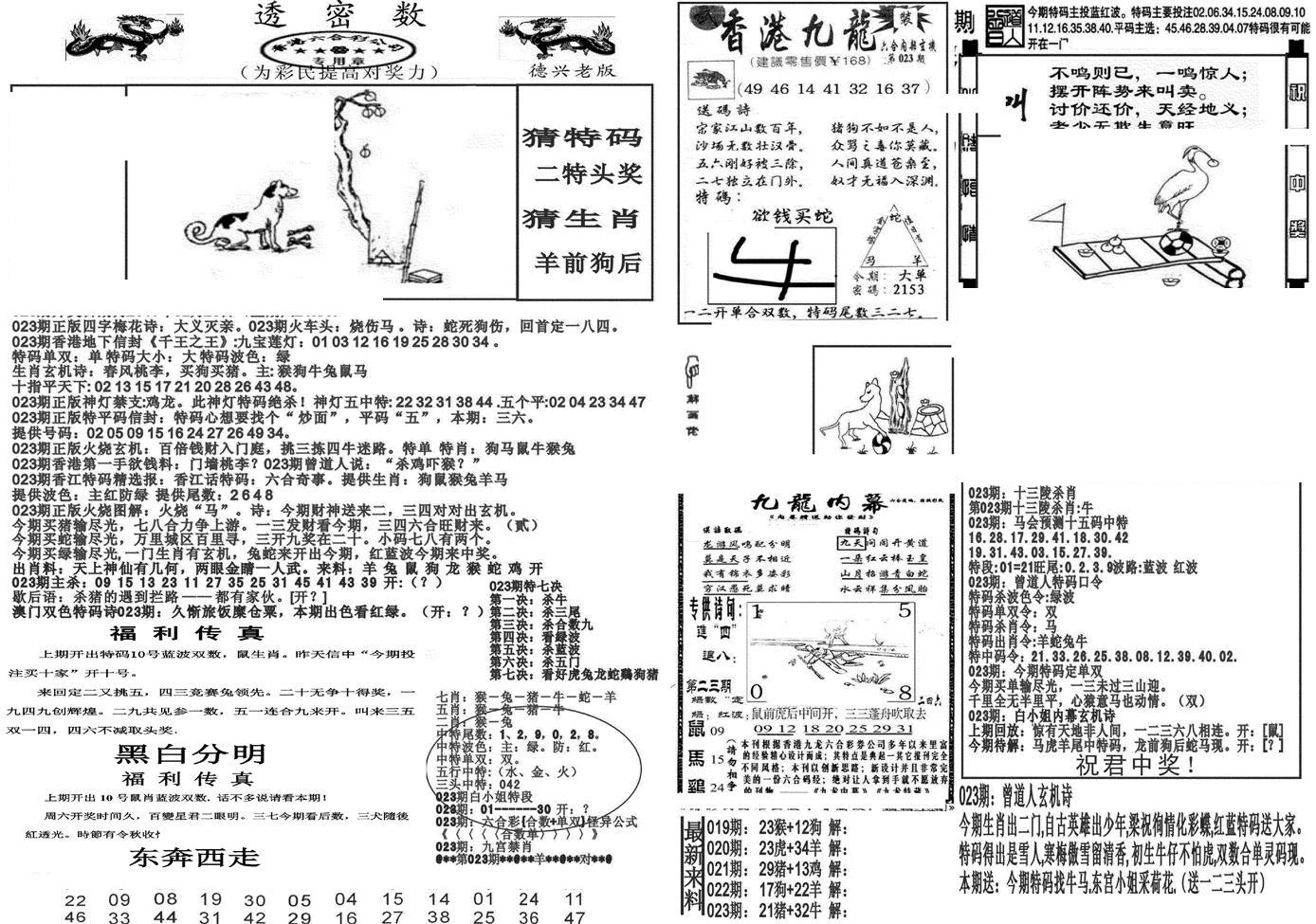 新透密数A(新)-23