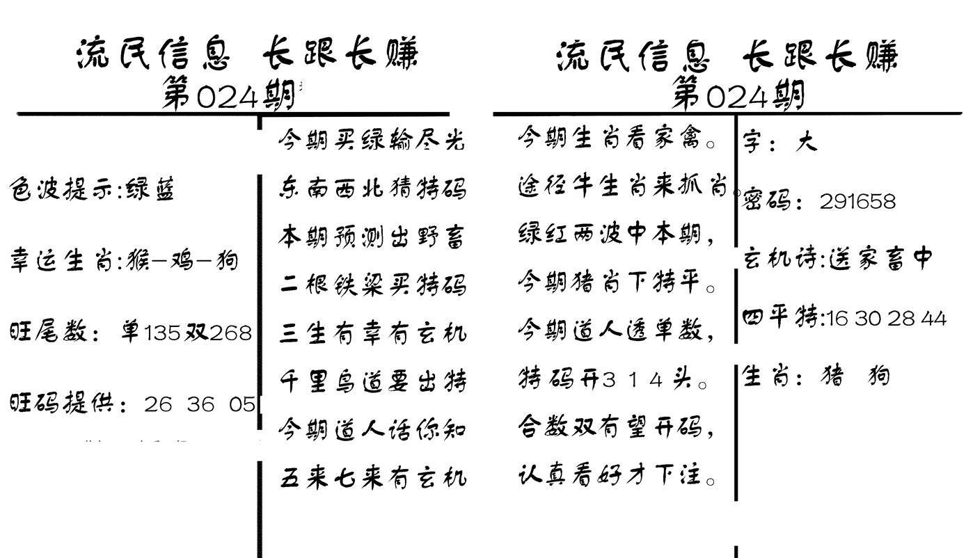 流民信息-24