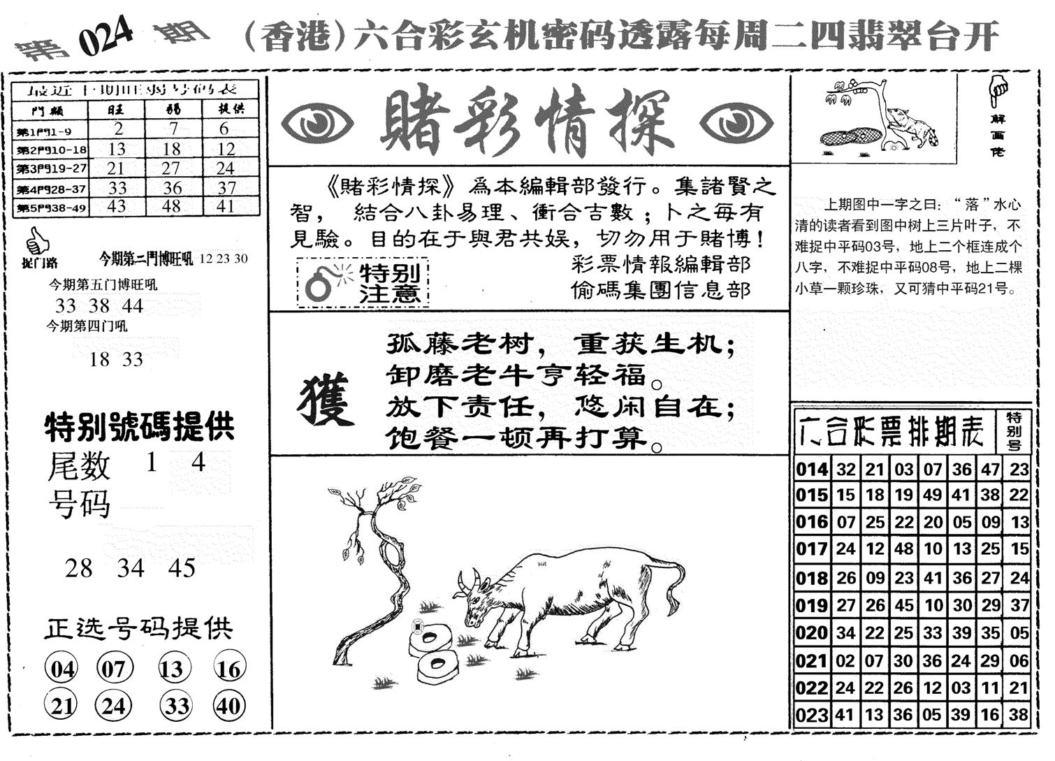 堵彩情探-24