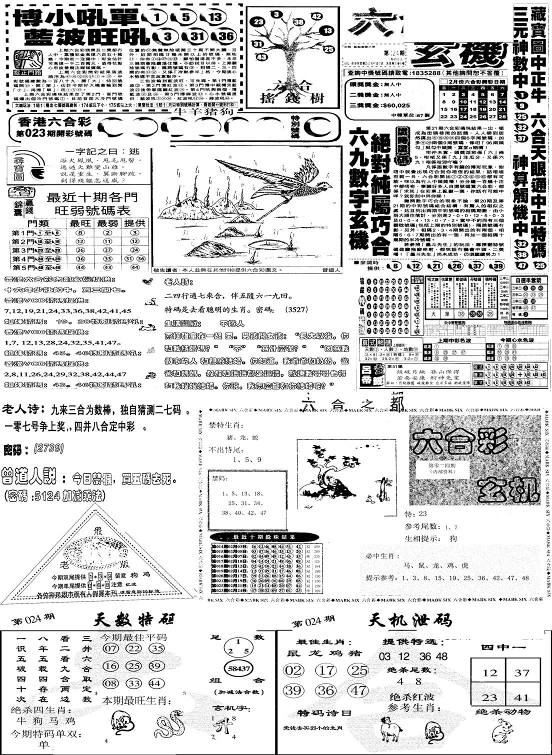 当日报-6-24