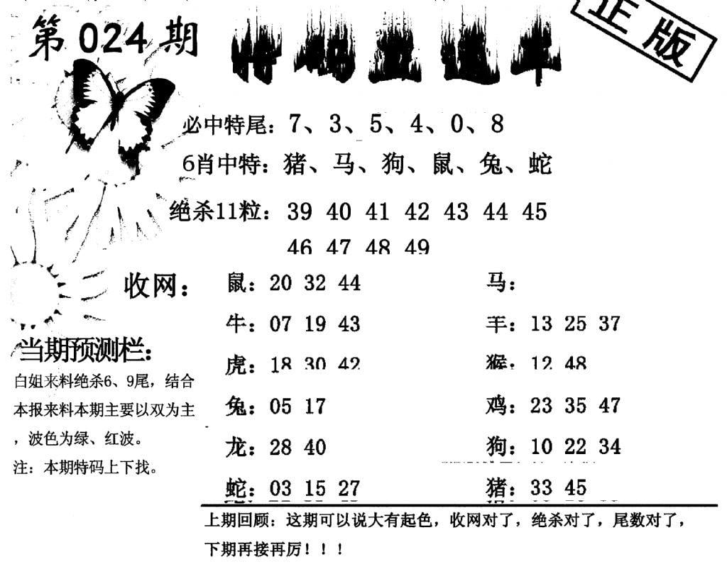 特码直通车-24