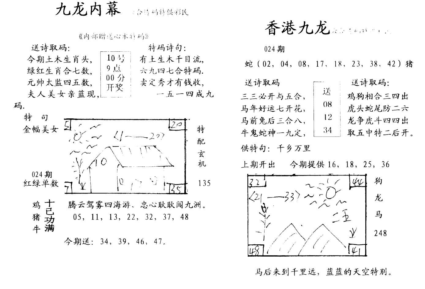 九龙内幕--开奖报-24