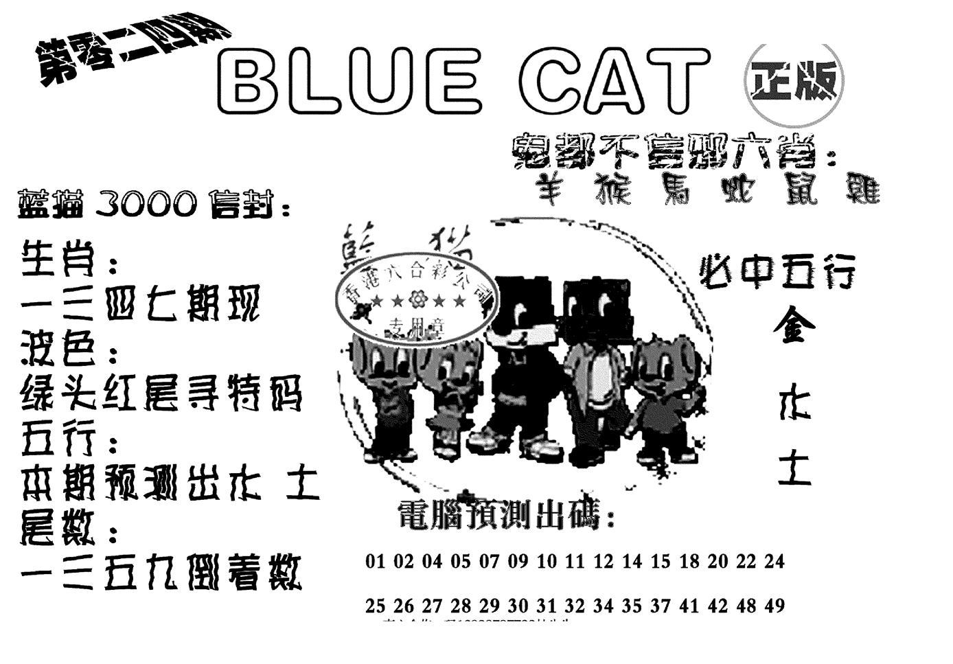 蓝猫Blue Cat-24