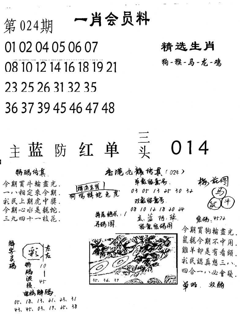 一肖会员料-24