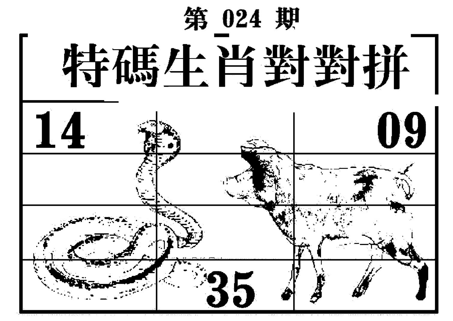 特码生肖对对拼-24