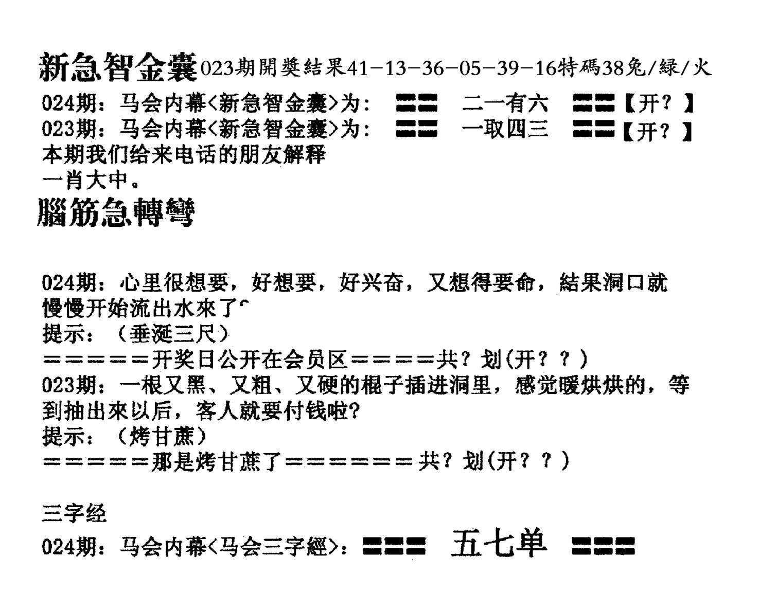 新急智金囊-24