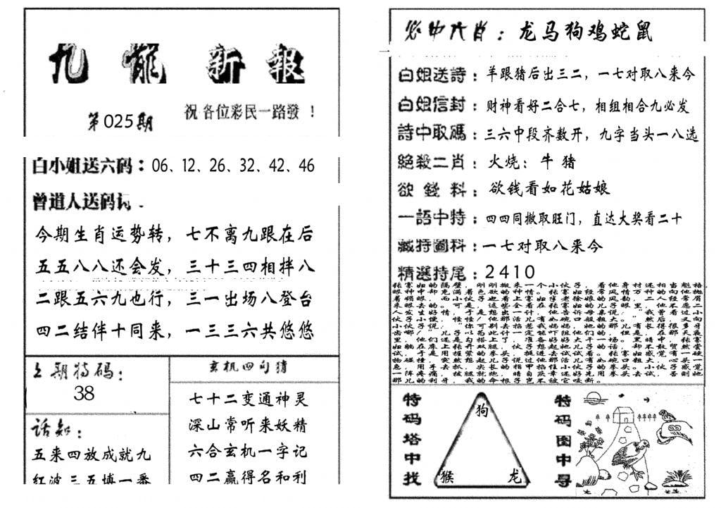 九龙新报(生肖版)-25