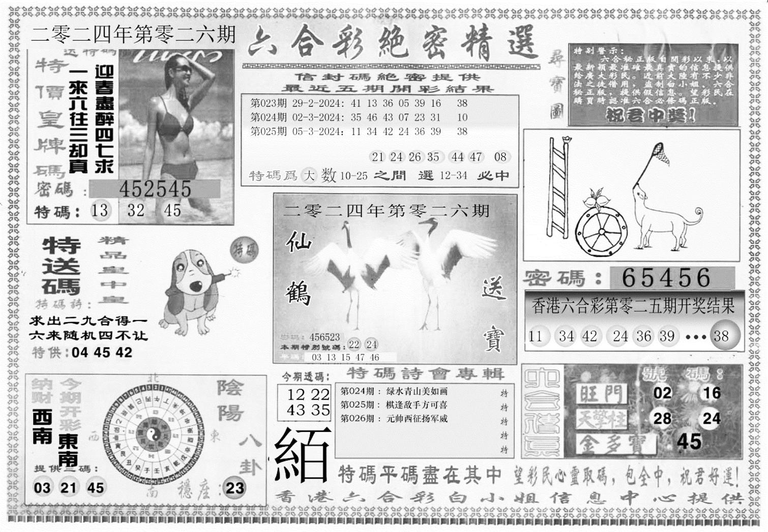 白姐绝密精选A-26