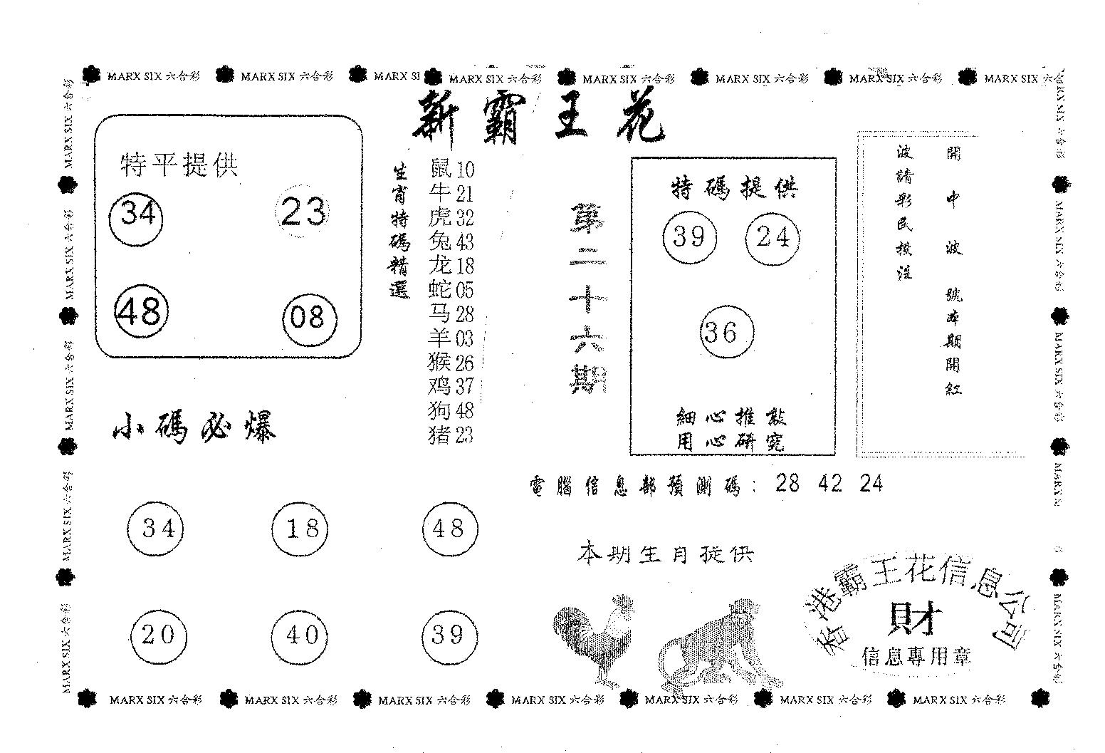 新霸王花-26