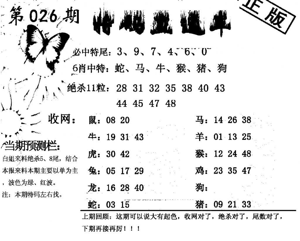 特码直通车-26