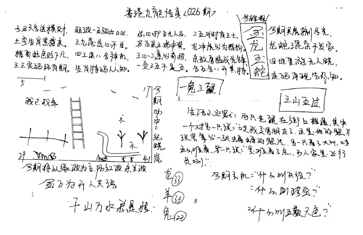 正版手写九龙-26