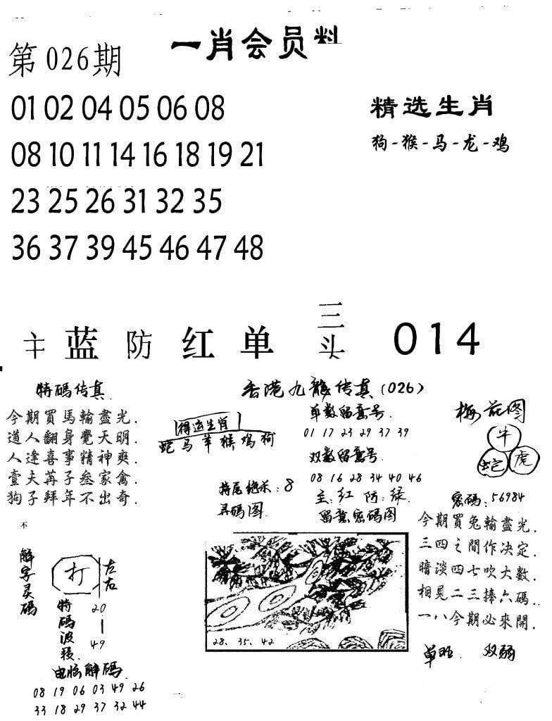 一肖会员料-26